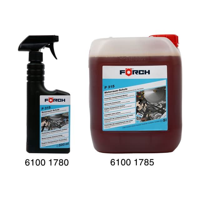 Mbrojtje për Dhomën e Motorit P315